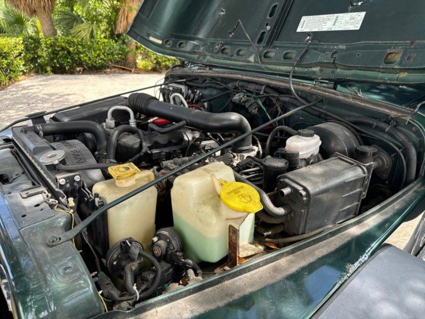 1999 Forest Green Pearlcoat /Agate Vinyl Jeep Wrangler Sport (1J4FY19S5XP) with an 4.0L L6 OHV 12V engine, located at 11170 Summerlin Square Dr., Fort Myers Beach, FL, 33931, (239) 999-7777, 26.493546, -81.941628 - Photo#30
