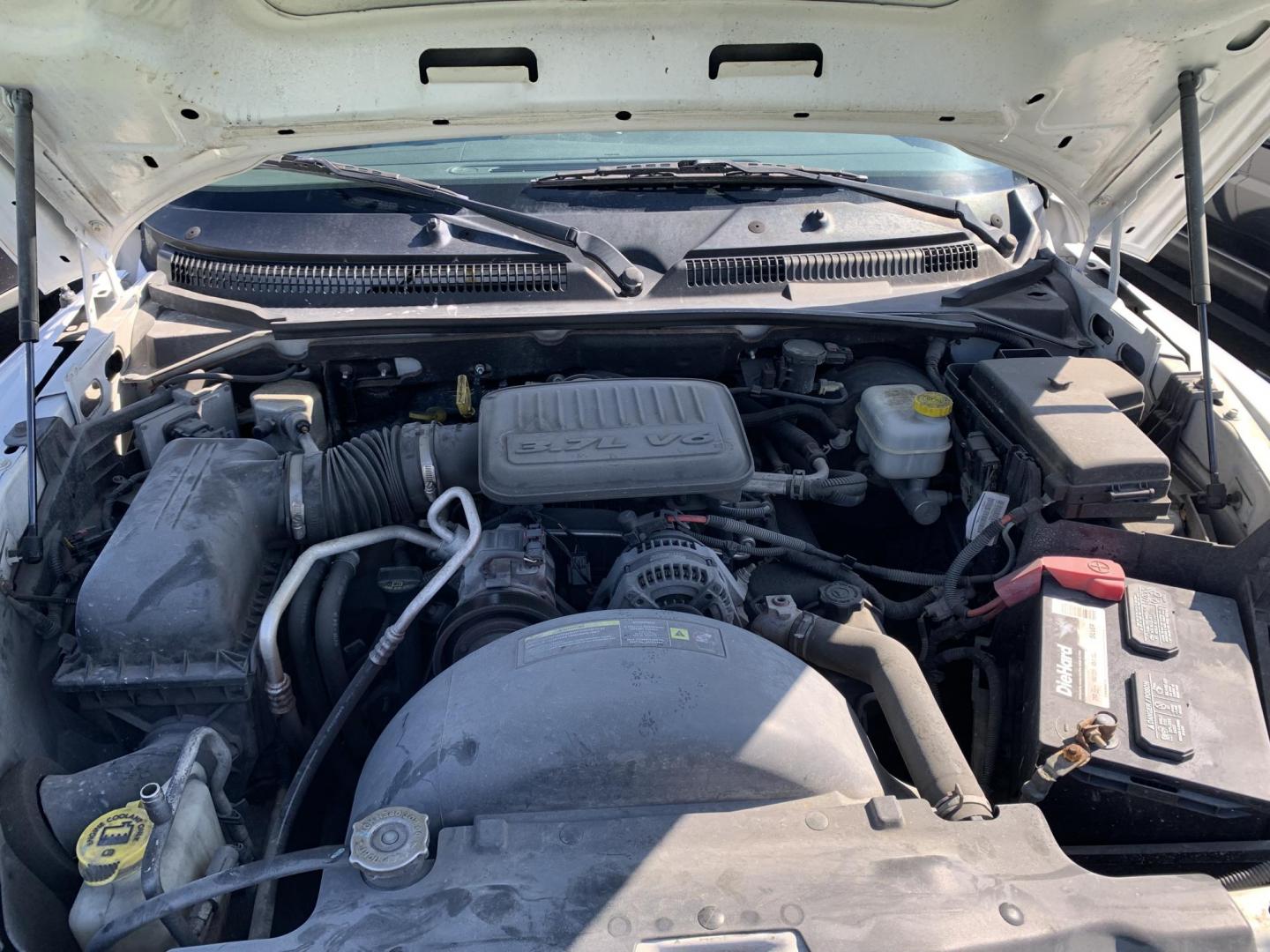 2011 WHITE /Grey Cloth DODGE DAKOTA SLT (1D7RE3GK7BS) with an 3.7L engine, Automatic transmission, located at 11170 Summerlin Square Dr., Fort Myers Beach, FL, 33931, (239) 999-7777, 26.493546, -81.941628 - Photo#11
