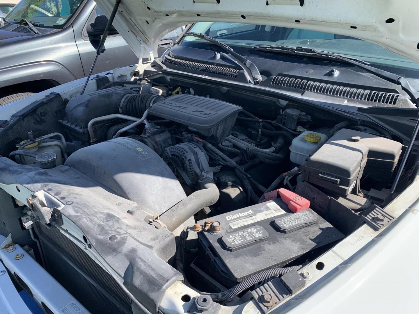 2011 WHITE /Grey Cloth DODGE DAKOTA SLT (1D7RE3GK7BS) with an 3.7L engine, Automatic transmission, located at 11170 Summerlin Square Dr., Fort Myers Beach, FL, 33931, (239) 999-7777, 26.493546, -81.941628 - Photo#13