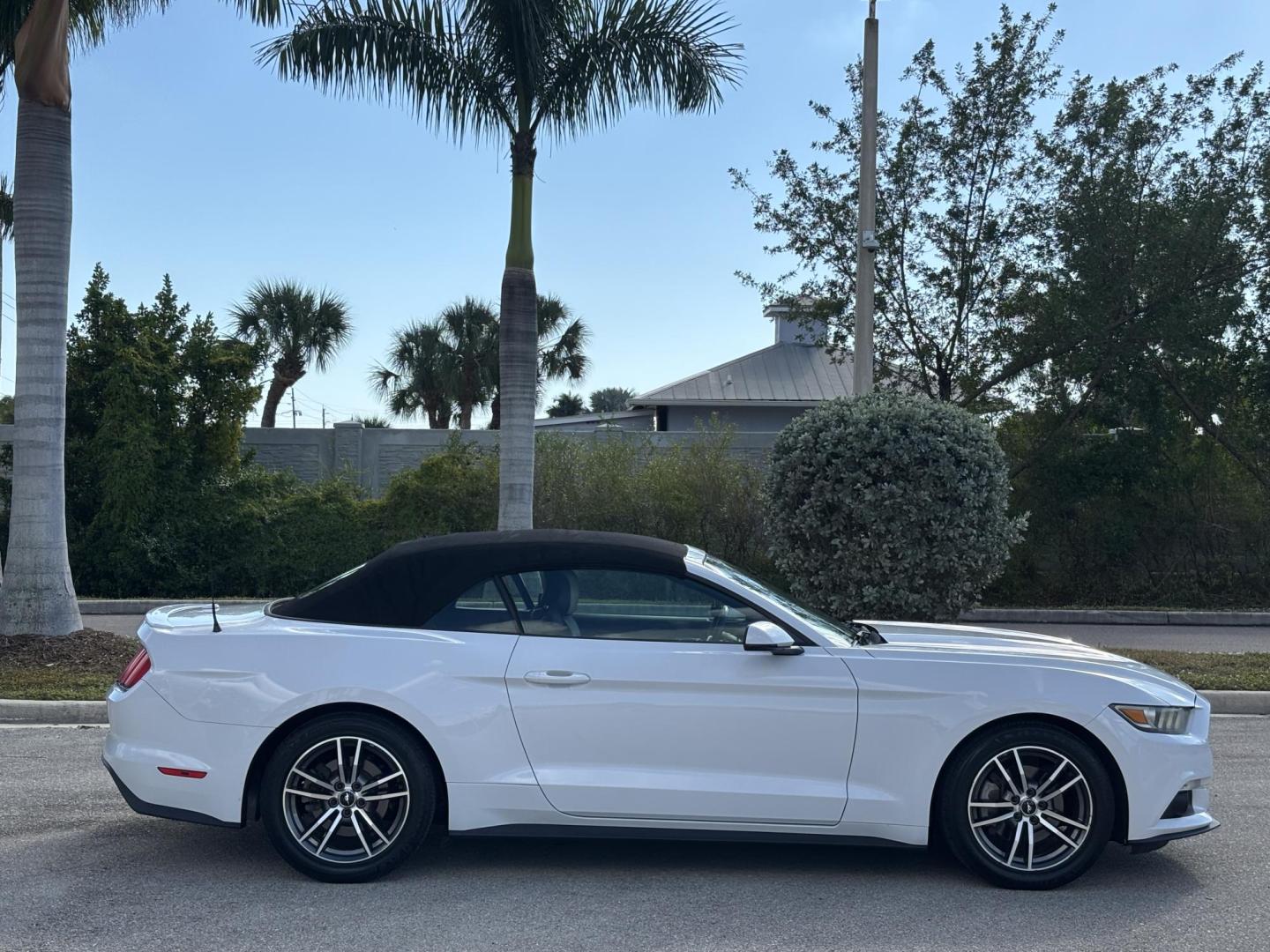 2016 WHITE /CREAM / BLACK LEATHER Ford Mustang EcoBoost Premium Convertible (1FATP8UH4G5) with an 2.3L L4 DOHC 16V engine, 6-Speed Automatic transmission, located at 11170 Summerlin Square Dr., Fort Myers Beach, FL, 33931, (239) 999-7777, 26.493546, -81.941628 - Photo#16