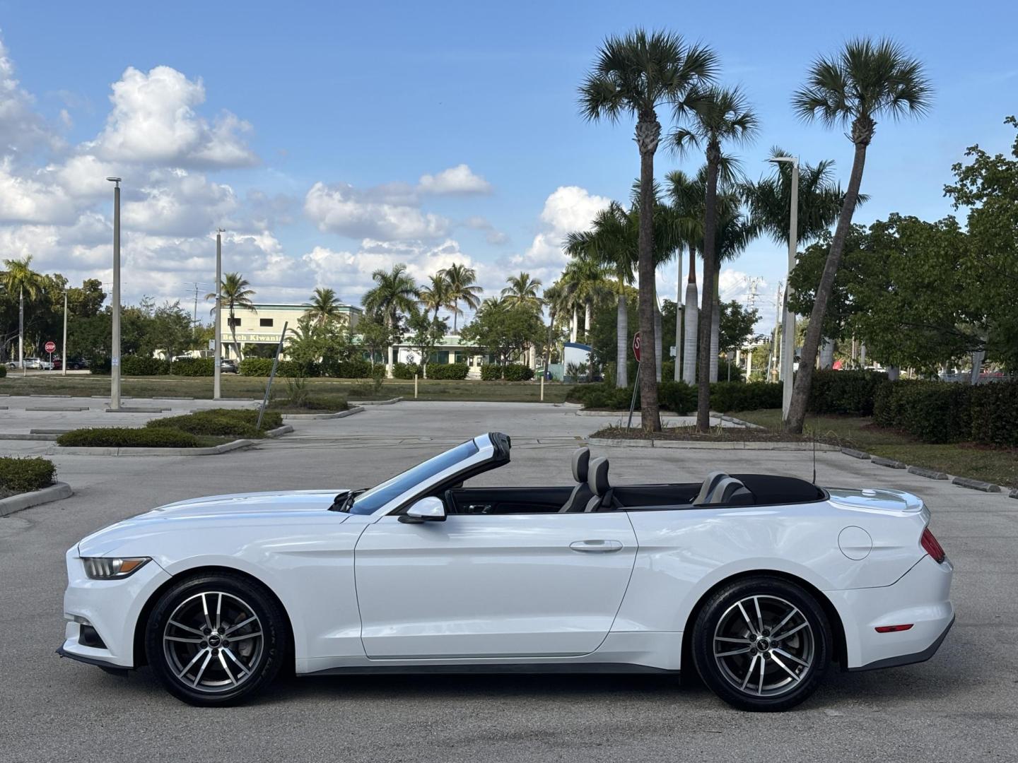 2016 WHITE /CREAM / BLACK LEATHER Ford Mustang EcoBoost Premium Convertible (1FATP8UH4G5) with an 2.3L L4 DOHC 16V engine, 6-Speed Automatic transmission, located at 11170 Summerlin Square Dr., Fort Myers Beach, FL, 33931, (239) 999-7777, 26.493546, -81.941628 - Photo#8