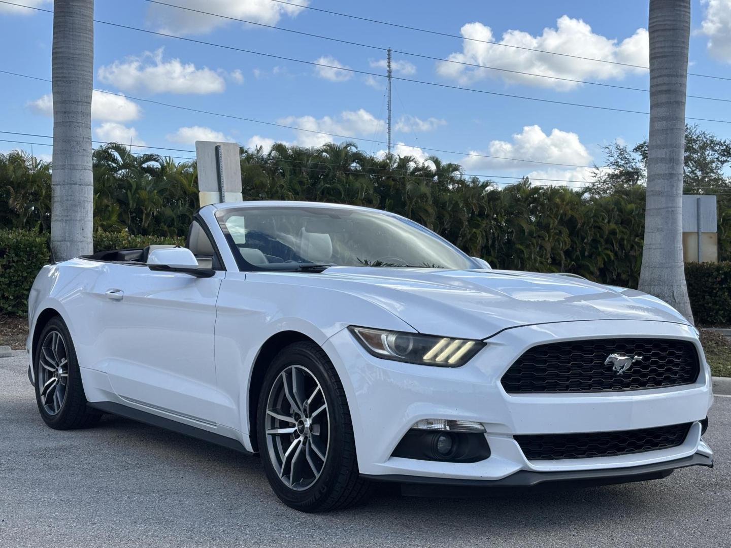 2016 WHITE /CREAM / BLACK LEATHER Ford Mustang EcoBoost Premium Convertible (1FATP8UH4G5) with an 2.3L L4 DOHC 16V engine, 6-Speed Automatic transmission, located at 11170 Summerlin Square Dr., Fort Myers Beach, FL, 33931, (239) 999-7777, 26.493546, -81.941628 - Photo#3