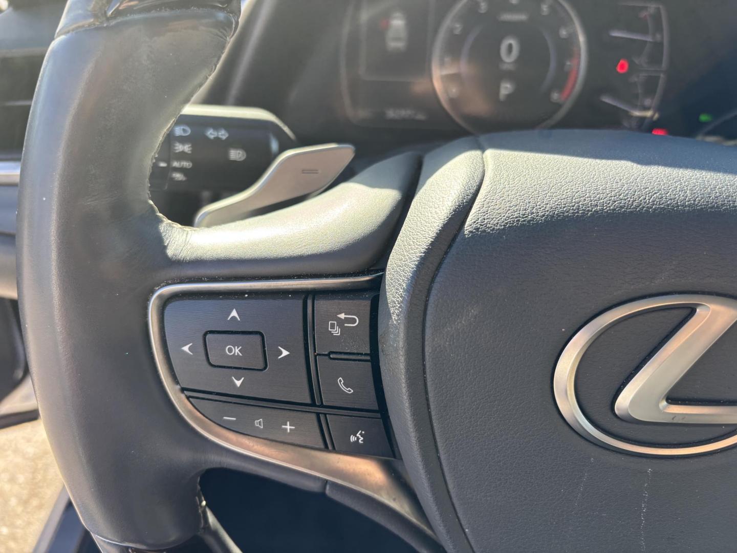 2019 SILVER /BEIGE LEATHER Lexus ES 350 Luxury (58ABZ1B12KU) with an 3.5L V6 DOHC 24V engine, 8A transmission, located at 11170 Summerlin Square Dr., Fort Myers Beach, FL, 33931, (239) 999-7777, 26.493546, -81.941628 - Photo#22