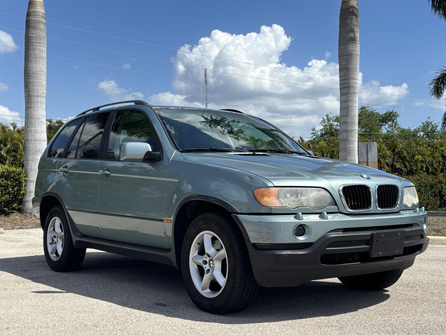 2002 BLUE /BLACK LEATHER BMW X5 3.0i (5UXFA535X2L) with an 3.0L L6 DOHC 24V engine, located at 11170 Summerlin Square Dr., Fort Myers Beach, FL, 33931, (239) 999-7777, 26.493546, -81.941628 - Photo#3